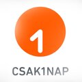csak1nap logo